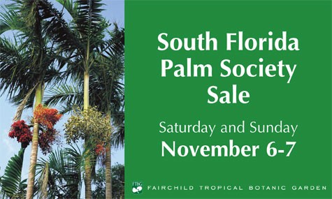 sfla palm society